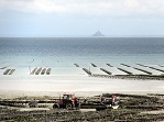 Austernbänke in Cancale, Frankreich